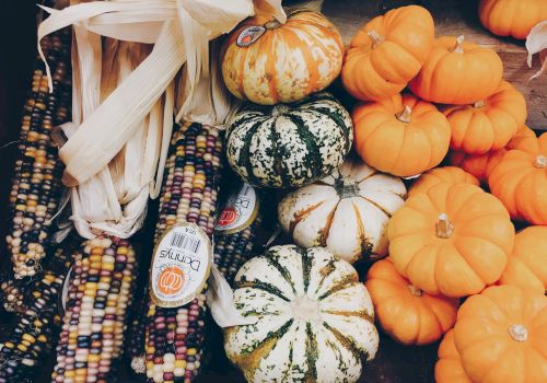 The image shows a collection of colorful Indian corn and a variety of pumpkins and gourds, predominantly in orange, white, and green hues.