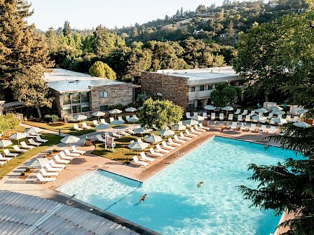 The image shows a serene resort with a large outdoor swimming pool, surrounded by numerous lounge chairs and umbrellas, set against a lush, wooded backdrop.